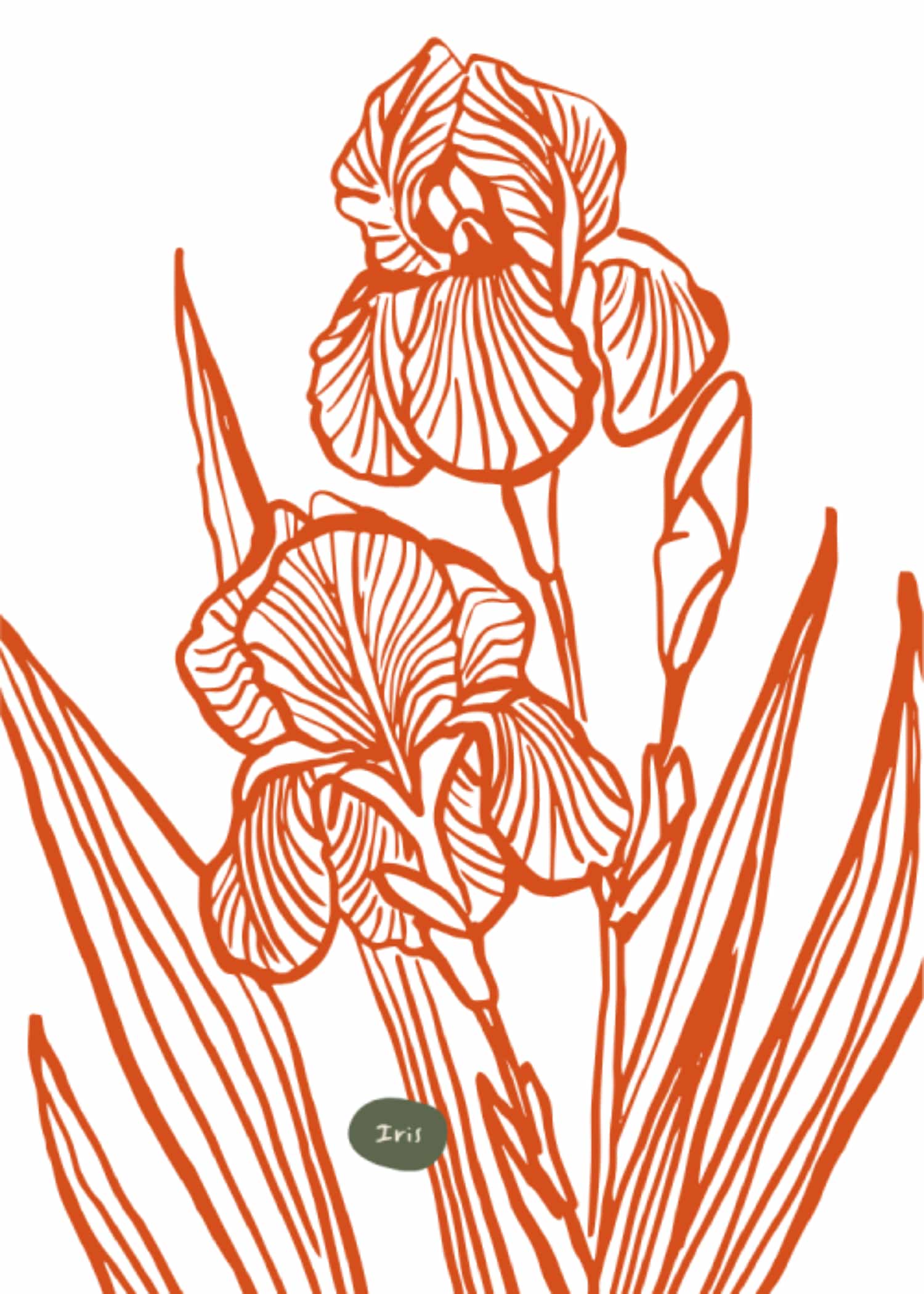 Red Iris Lines poster