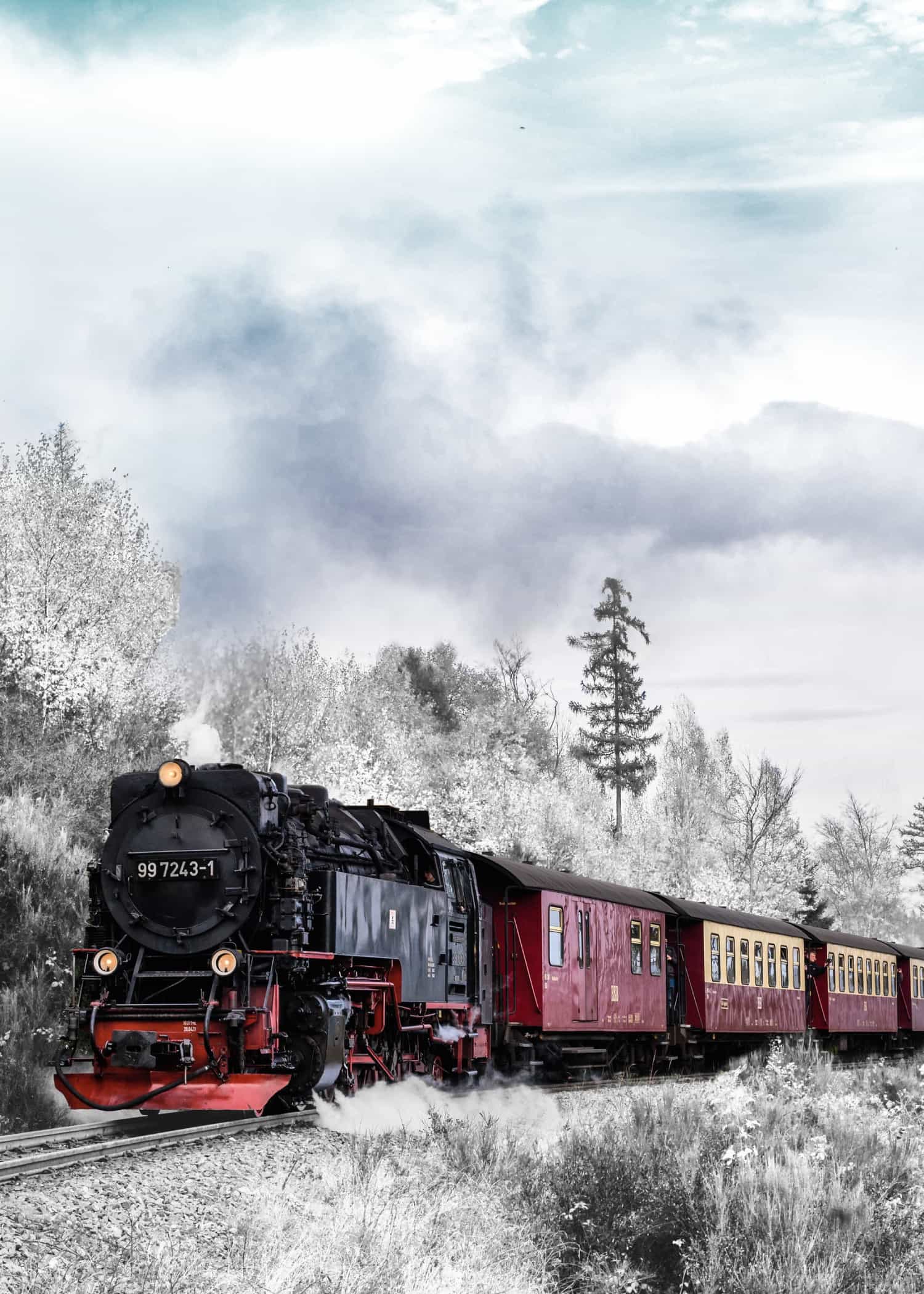 Train in Winter poster