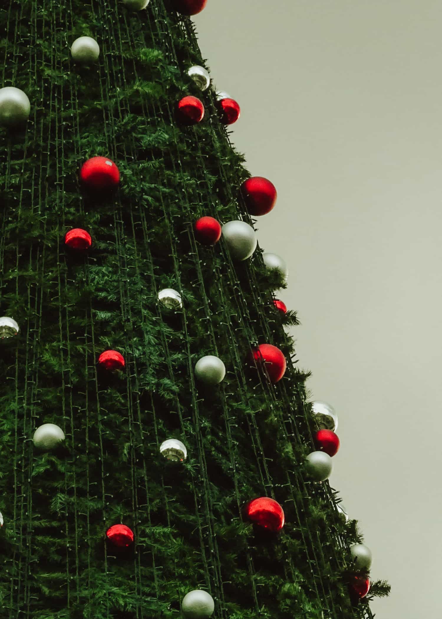 Xmas Tree poster