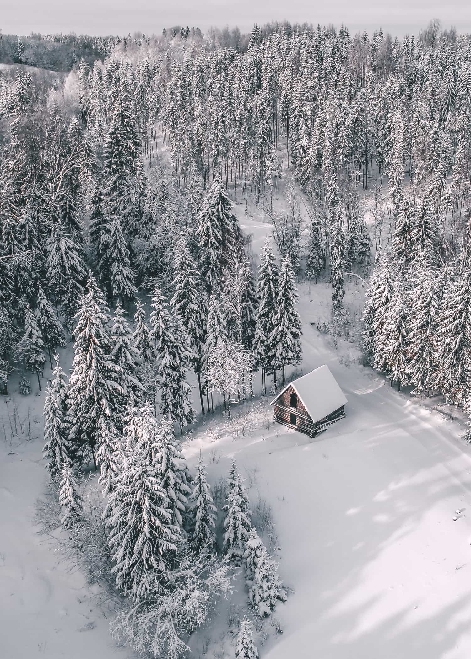 Cabin Covered in Snow poster