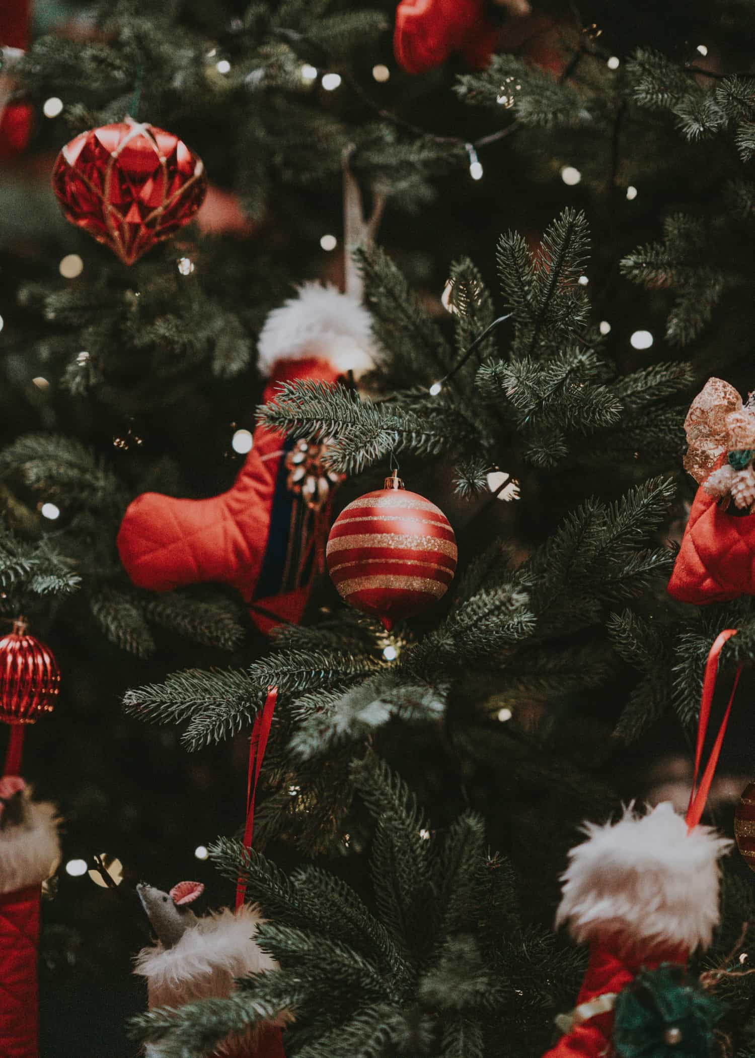 Christmas Tree Close Up poster