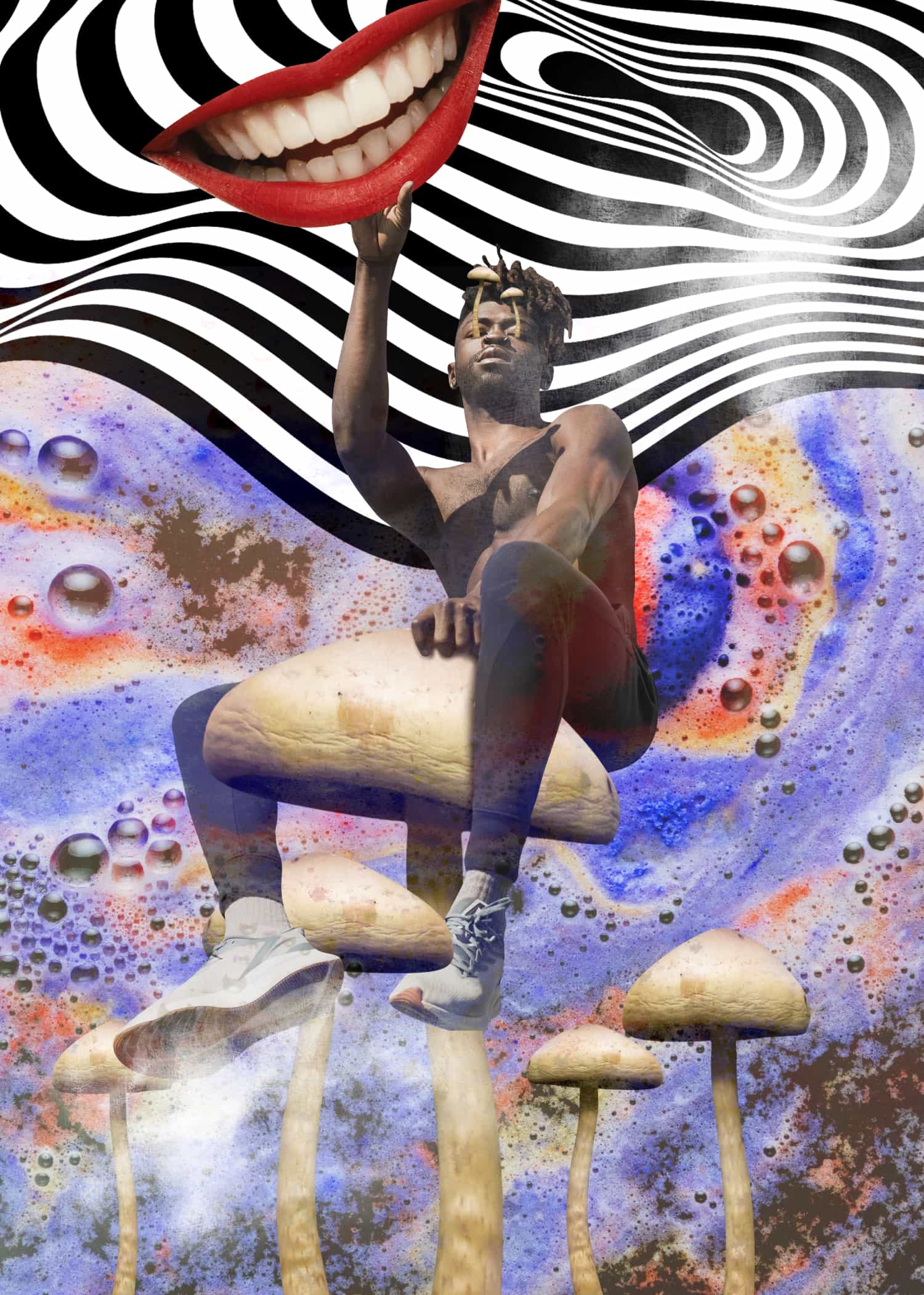 Mushrooms Collage No. 2 poster