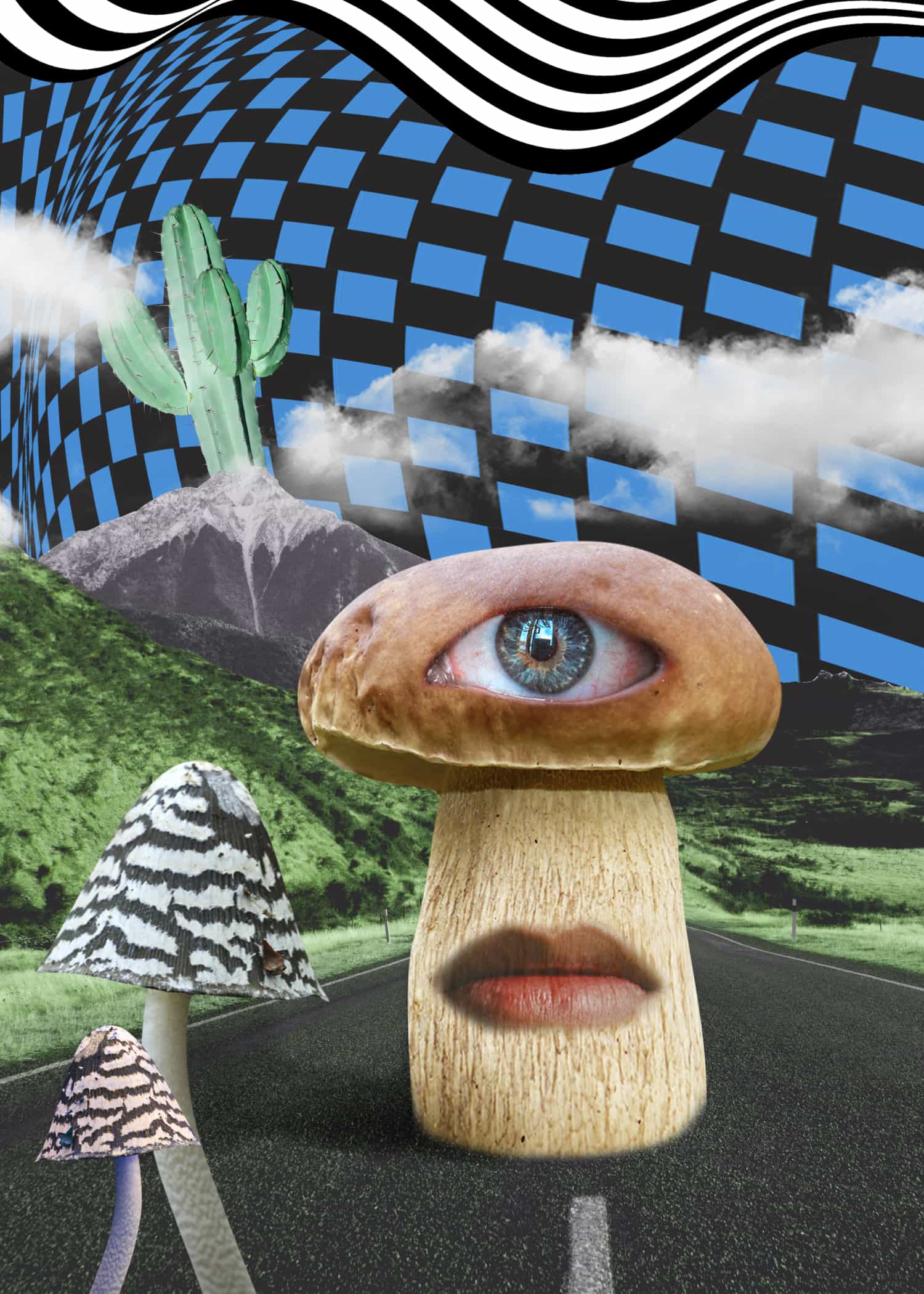 Mushrooms Collage No. 3 poster