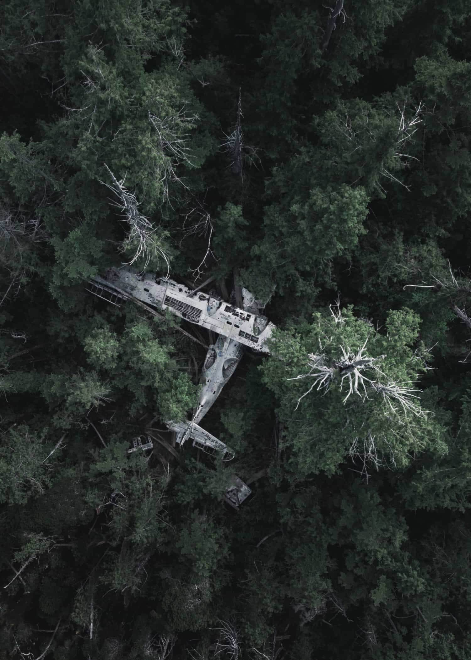 Abandoned Airplane poster