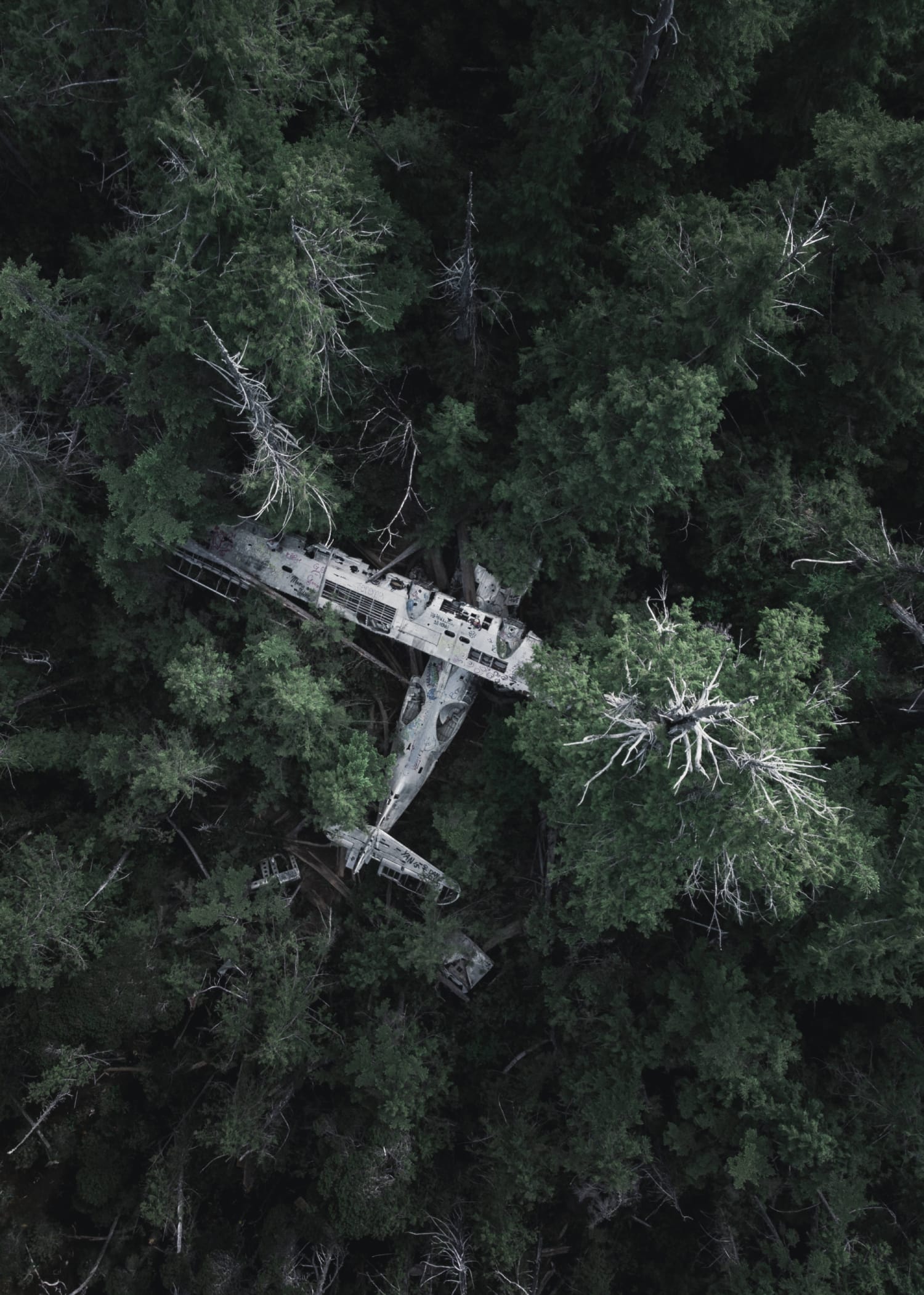 Abandoned Airplane, Product image 1