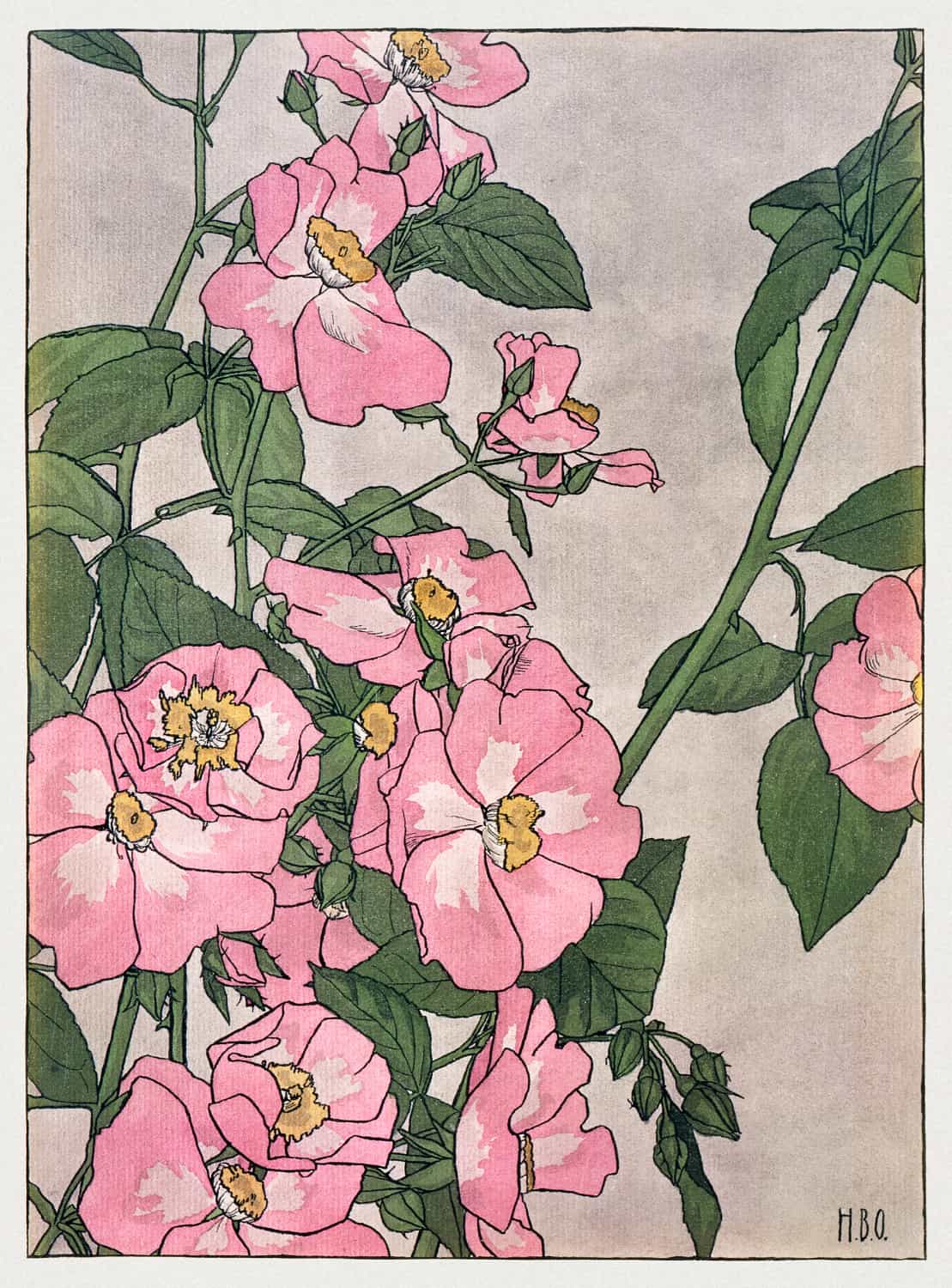 Prairie Rose autorstwa Hannah Borger Overbeck plakat
