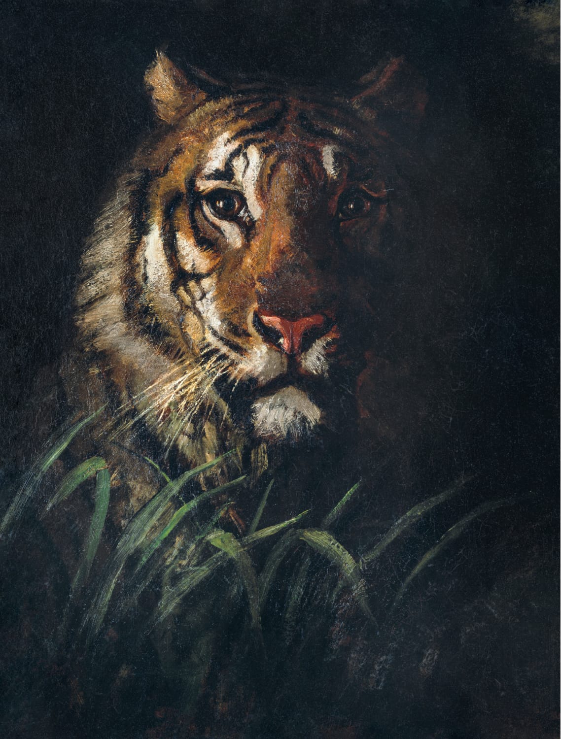 Tiger's Head by Abbott Handerson Thayer, Product image 1